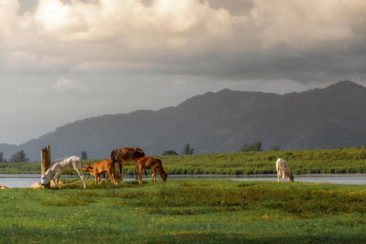 Tropikal Natura Lodge By D Imperio Homestay Penang バリック・プラウ エクステリア 写真